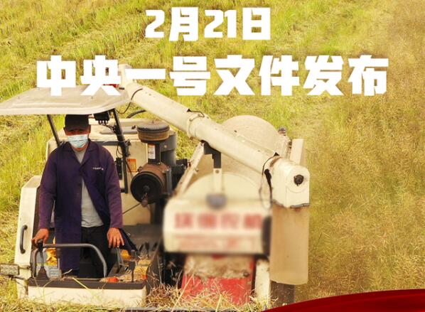 中共中央 国务院关于全面推进乡...