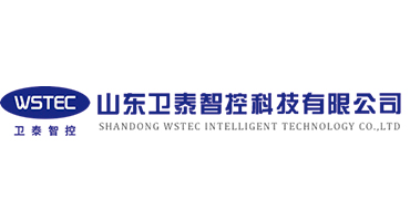 山东卫泰智控科技有限公司
