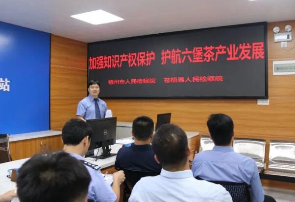 加强知识产权保护，护航六堡茶产...